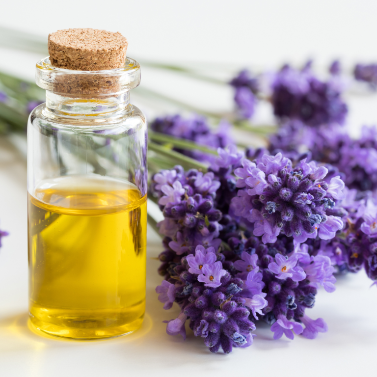OLEOLITO LAVANDA